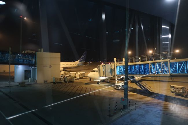 23:00<br />ジャカルタへ戻ってきました。<br />出発が少し遅れた割には定刻通り到着。