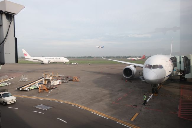 搭乗機。<br />ちょうど一足先にJAL便が出発するところ。