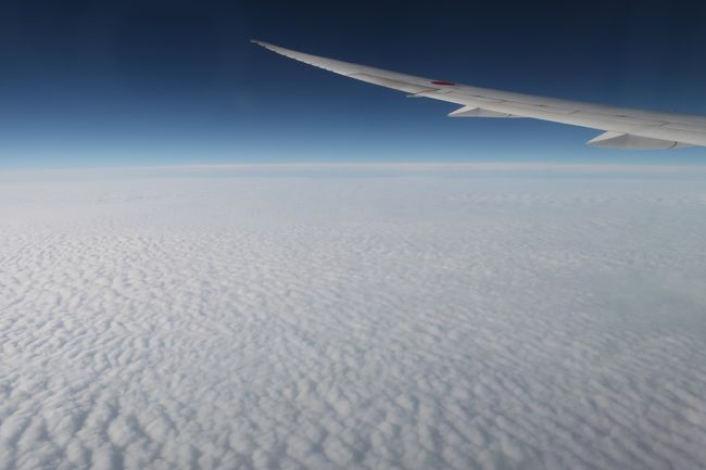日本に近づくにつれて、広がる雲海。<br />東京は寒波が訪れたようで、ジャカルタとの気温差は20℃以上。。。