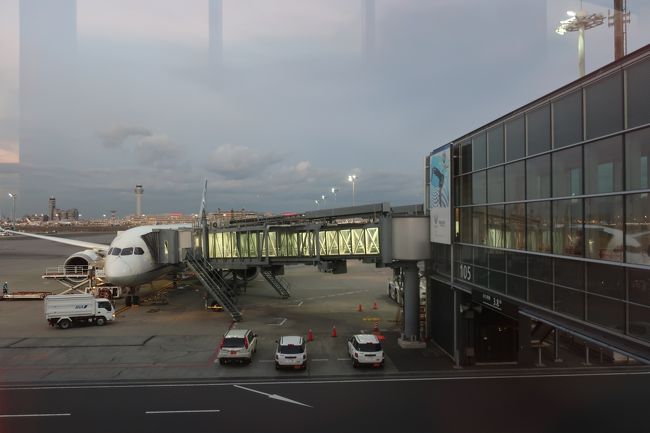 16:20<br />体感的にも極寒の東京へ到着。<br />今回は移動の効率が悪かったし、ちょっと無理矢理感があったかな。<br />でも行きたかったジョグジャカルタに行けたので良しとしよう。<br />インドネシアは円高続きなのでまた近いうちにでも。