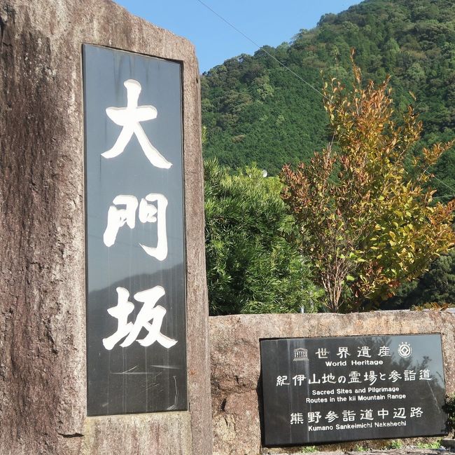 那智勝浦-1 大門坂/登り前半a 世界遺産・熊野古道(中辺路
