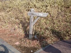 大川荘から車で1時間半、栃木県に戻ってきて那須高原の《つつじ吊橋》に来ました。

ここは紅葉時期のつつじが見所のようですが、当然1月のこの時期に紅葉はないです。こちらの立て札に従い、駐車場から吊橋に向かいます。