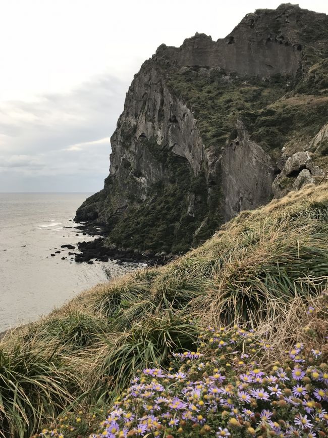 反対側からの一枚