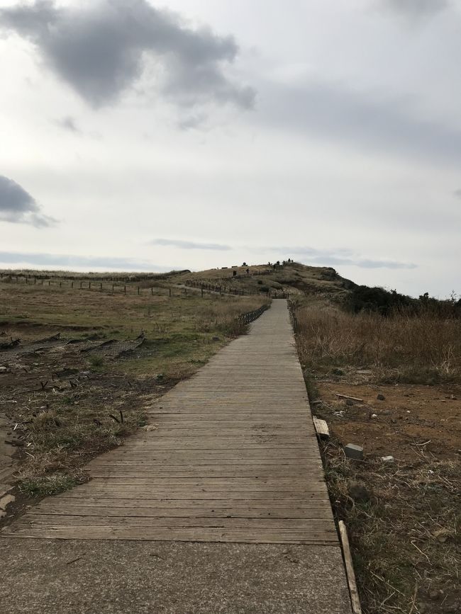 まっすぐな小道