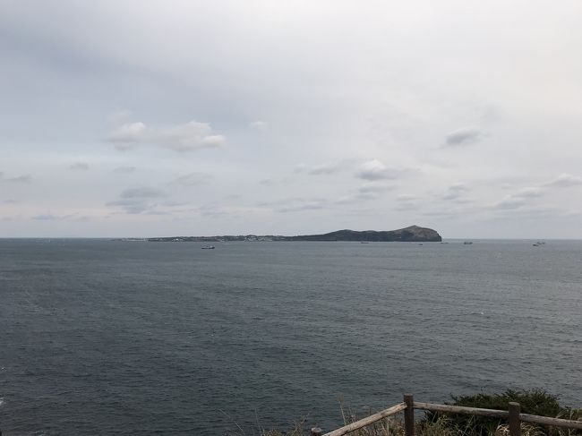 ウドが見えます。