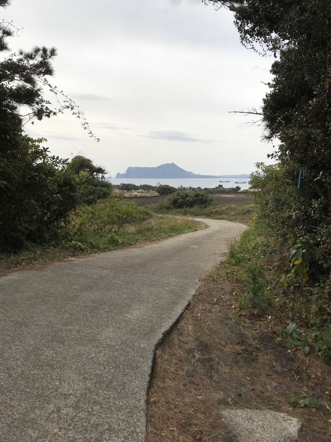 正面に城山日出峰が見えます