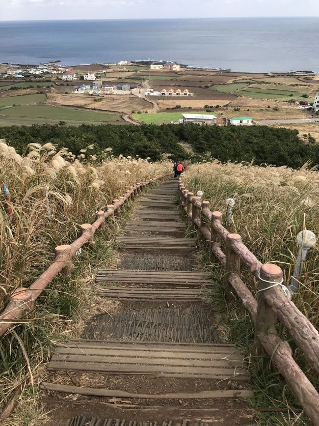 すすきの小道を下ります
