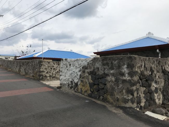 沖縄と似てる。