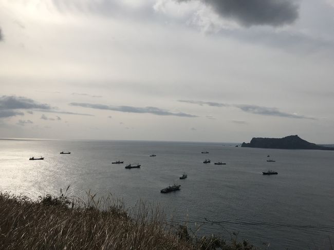 漁船がたくさん