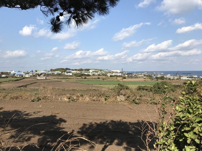 やっぱり、沖縄っぽい。