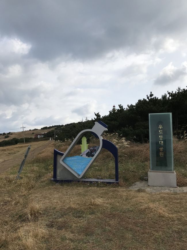 ここから灯台に行く前の小道になります