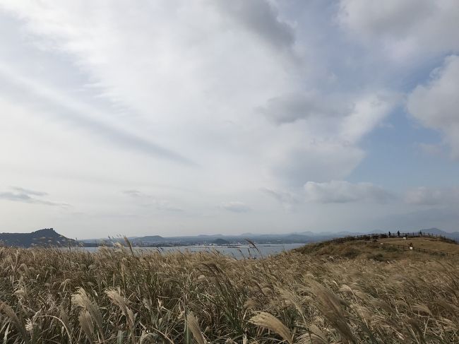 ここから灯台を目指します。