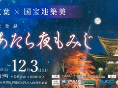 石山寺あたらし夜もみじ（紅葉ライトアップ）の拝観券は600円でした。