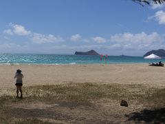 さて天気も回復したので、ビーチへ出掛けよう。
今日は日曜なので、ベローズビーチへ行ってみる。
ハワイ旅行で土曜・日曜が入っていれば、必ず訪れるビーチ。

ビーチも広く、適度な木陰もあり、海もキレイだ。