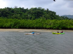 仲間川のジャングルクルーズ
