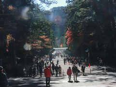 東照宮の参道