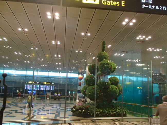 ７時間、チャンギ空港に到着！！！長いようなあっという間のような。ぐずったらトイレにお散歩行ったり、トイレで水ジャーして手を洗ったり、もちろん絵本やおもちゃや機内エンターテイメントも駆使して、１歳児の相手がんばりました。５歳のお姉ちゃんはもう大人同然。まったく手がかかりません。