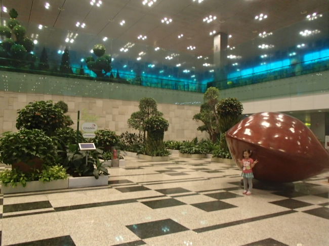 空港内はみどりがたくさん☆