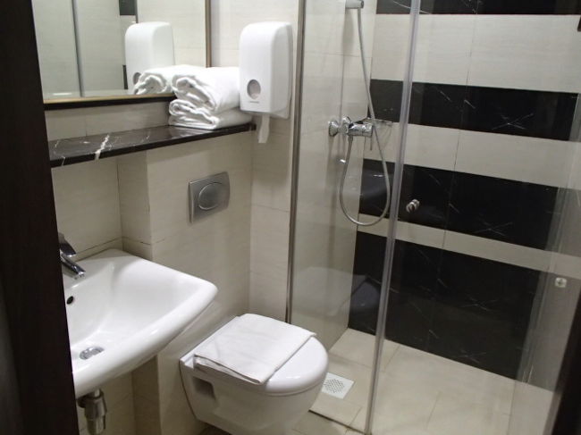 バスタブはないですが、まぁいいですよ、１歳児は立ってシャワーできます。