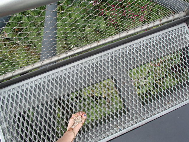 上にのぼってはみたものの、かなりの高さでちょっと怖い。。。