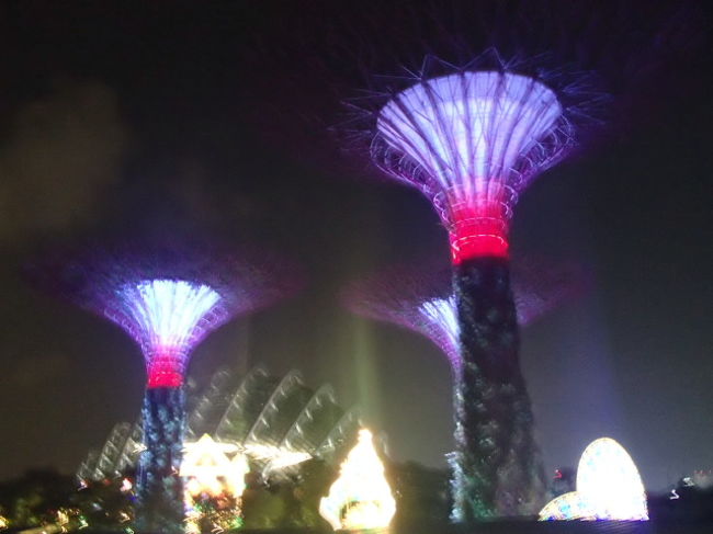 いよいよ、スーパーツリーグローブとご対面です！