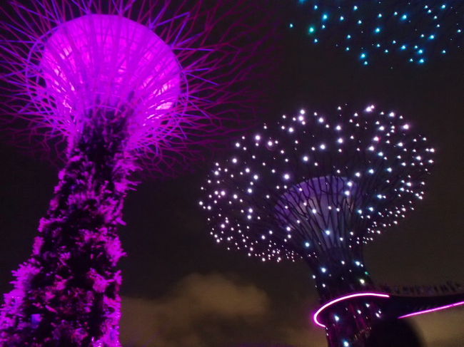 １９：４５と２０：４５にガーデンラプソディという光のショーがありました。<br />クリスマスバーションになってて、最高～♪<br />アナ雪の「雪だるまつくろう」「くるみ割り人形」などなど、知ってる歌ばかりで楽しく見れました。