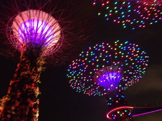 子どもたちも寝転がってみていました♪♪途中、息子がうんちしちゃって、くさー！と思いながら、絶景を楽しんで観ました。そのあとすぐにトイレへダッシュ～。