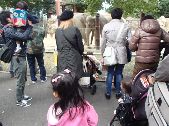 成田から、直行で上野動物園に行きました。<br />さ、さ、寒い。寒すぎます。まわりはダウンジャケット。<br /><br />私たち、パーカー。<br />