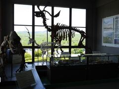 こちら、無料の博物館でカルスト地形の成り立ちや秋芳洞について詳しく解説。
地球誕生から現在に至るまでの進化などスケールの大きな展示もあった。
