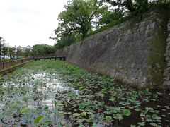 そのまま駅方面に歩いていると堀と石垣が。