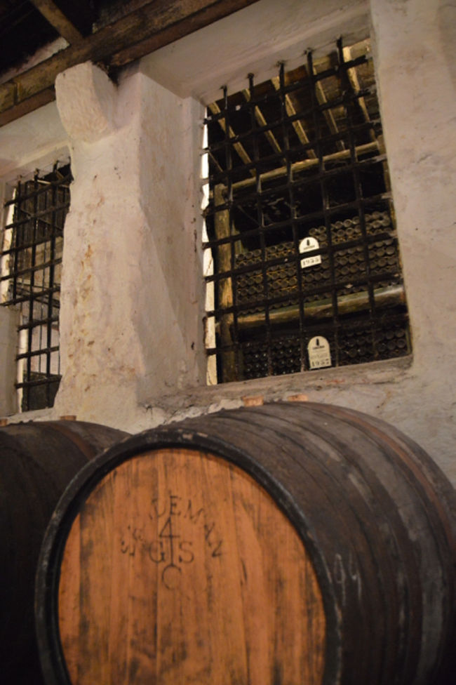 上部にはヴィンテージワインもあった。私の生まれた年のものもあった。ワインは年を経て良くなっていくのだろうが、私は年とともに劣化していく。ダメだな。