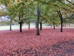落ち葉が美しいグリニッジ公園。