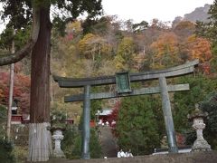 妙義神社へは総門を抜け本殿を目指しますが、かなりの石段を上ることになりますが、石段の上からは下仁田の市街が見渡せますので晩秋の景色は楽しめました。