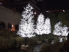 この辺りはランタンと言うよりもＬＥＤの電飾です。清渓川の中に展示されていて、川の両側から見ることができます。
作品名は「LEDの木」。