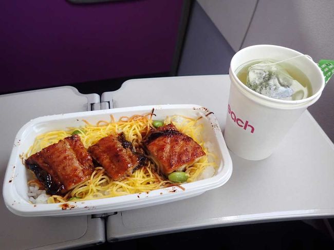 ピーチアビエーション2 490円 ナマズ機内食を食べるために日帰り福岡 福岡県の旅行記 ブログ By Azさん フォートラベル