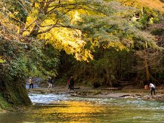 1週間前に色付き始めっていう情報だったので、今日はもう最近の寒さを考えても結構黄葉しているんじゃない？って思っていましたが・・。