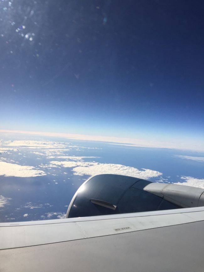 デルタ航空は？ やっぱりJALがいいっすよね～ お金持ちになりたいです。