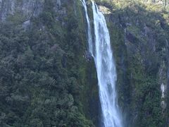 翌日は世界遺産ミルフォードサウンドへ。大きな滝は見ごたえがありました。