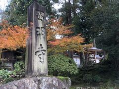 西明寺
平安時代初期　承和元年（834年）三修上人（慈勝上人）が仁明天皇の勅願により開設された古刹
西明寺の山号の由来は、西明寺のある場所が琵琶湖を中心として、東に位置していることから、東西南北の四方を護る天の四神（東・・・青龍、西・・・白虎、南・・・朱雀、北・・・玄武）の内の青龍が護り、人々の願いに応じる寺院故に「龍應山」と名付けられました。
