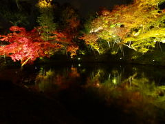 夜は高台寺のライトアップへ。