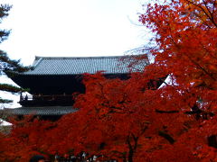 京都旅行二日目は。地下鉄で蹴上駅へ。まずは南禅寺へ。紅葉のアーチを抜けると三門が。