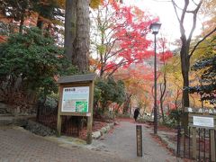 ３０分ほどで雨が上がったので、
ホテルから歩いて１５分ほどのところにある
紅葉で有名な瑞宝寺公園へ。

ホテルからシャトルバスも出ていました。
