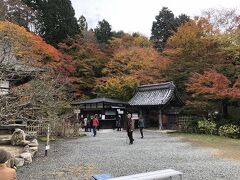 滋賀県湖東地方、鈴鹿山系のふもと天台宗寺院　百済寺・西明寺・金剛輪寺を湖東三山と言います。
紅葉百選に選ばれたモミジの名所です。

最初に訪れたのは　百済寺（ひゃくさいじ）

推古（606年）　百済人のために聖徳太子の御願により建立された滋賀県内最古級の寺院
