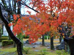 霞ヶ城公園の紅葉