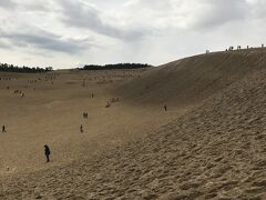 写真では分かりにくいですが、鳥取砂丘名所馬の背。急勾配の坂を登りたかったのですが、ポケモン捕まえるために砂丘を歩き回る体力を温存するためやめときました。
