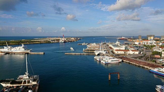 11/3 (金)<br />前の日の予報では、雨…曇り……が晴れたぁ～＼(^o^)／<br />昨晩作った、てるてる坊主のお陰？<br />夜中、何度も目が覚めるし(゜ロ゜)朝も気になって、目覚ましより先に起きちゃった(^^;ｱﾊｯ<br />ホテルのお部屋よりパシャリ☆<br /><br />ホテルで朝御飯をすませ、今日は石垣島の観光へ!<br />まずは、バンナ公園★