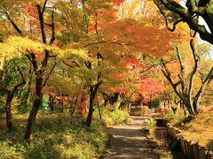 13：00　養浩館（ようこうかん）庭園

旧福井藩主松平家の別邸跡地、名付け親は松平春嶽公。
国の名勝。


大人　210円
駐車場　無料