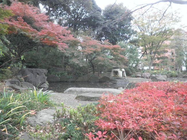 池も中にはあります。結構、本格的な和風庭園です。