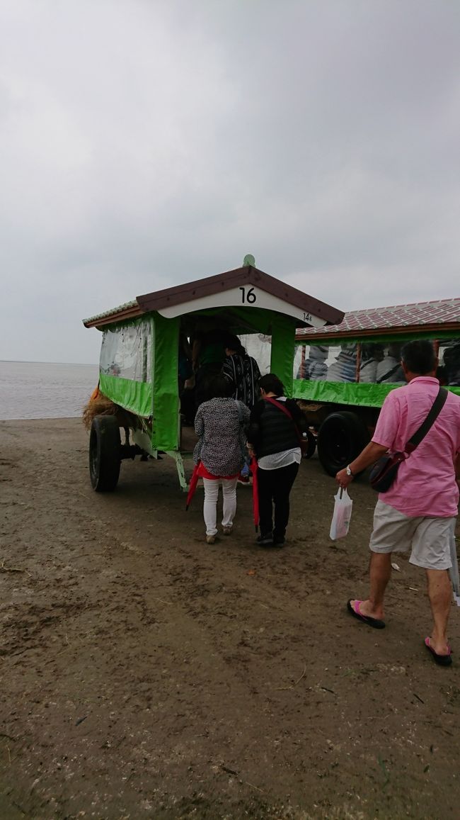 なんて残念なお天気(T-T)