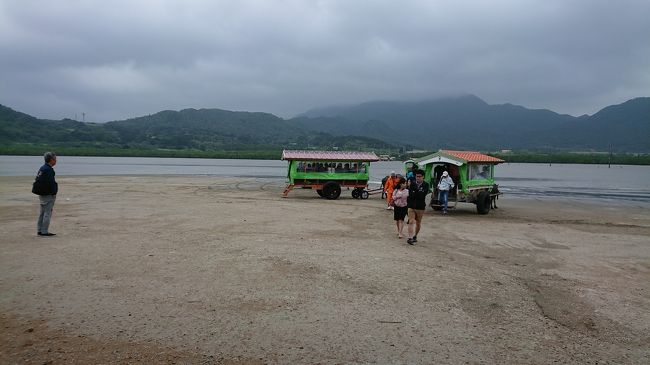 由布島でお昼ご飯＆散策。<br />お昼はお弁当…とりあえず食べて、帰りの水牛車に乗る頃にはさらに強風雨(´д｀|||)<br />水牛ちゃんたち、よく頑張るね!